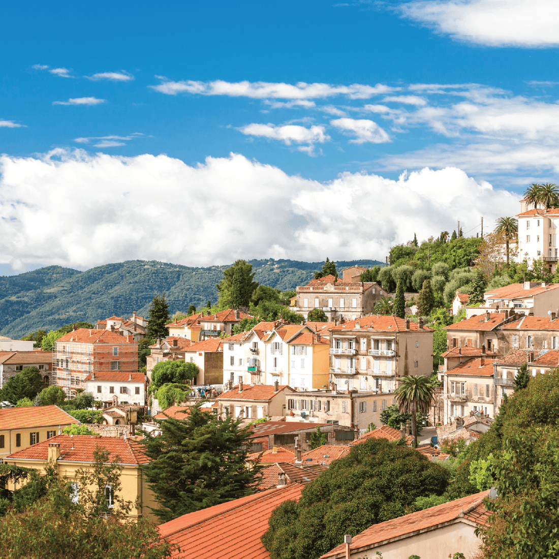 Grasse